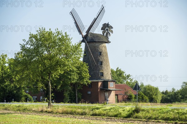 Historic windmill surrounded by trees and meadows under a clear blue sky, mill on the Weser cycle path near Petershagen, North Rhine-Westphalia