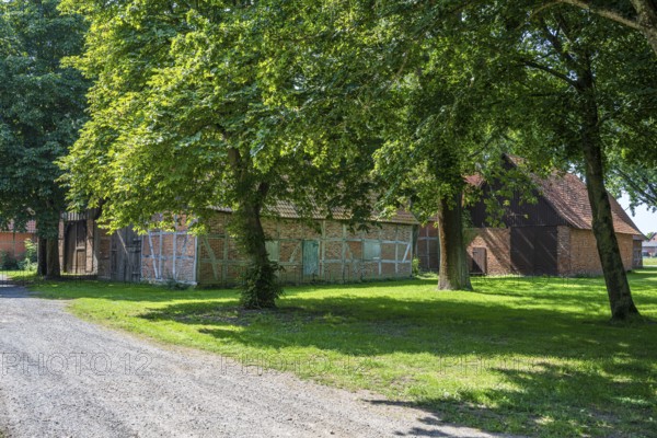 Half-timbered house on a gravelled path, surrounded by green trees and meadows, Weser cycle path, Scheunenviertel Schlüsselburg, Petershagen, North Rhine-Westphalia