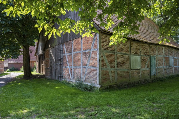 Half-timbered brick house along a shady path surrounded by large trees, Weser cycle path, Schlüsselburg barn quarter, Petershagen, North Rhine-Westphalia