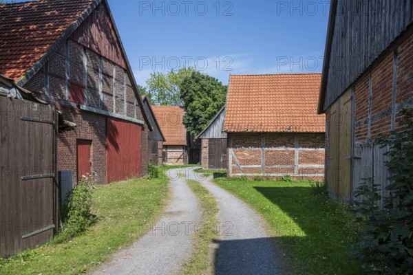 Rural path between farmsteads with red roofs and half-timbered façades, framed by summer greenery, Weser cycle path, Schlüsselburg barn quarter, Petershagen, North Rhine-Westphalia
