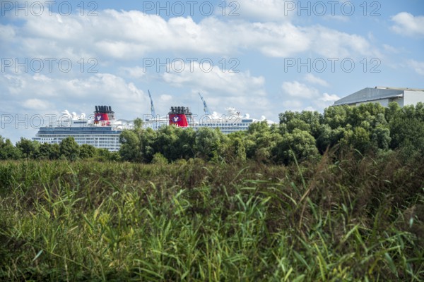 A cruise ship hides behind green trees in front of a blue sky with clouds, cruise ship in the shipyard of Papenburg