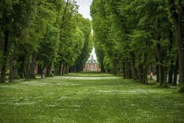 A symmetrical avenue of tall trees leads to a historic building surrounded by fresh green lawns, Clemenserth Castle in Sögel, Emsland