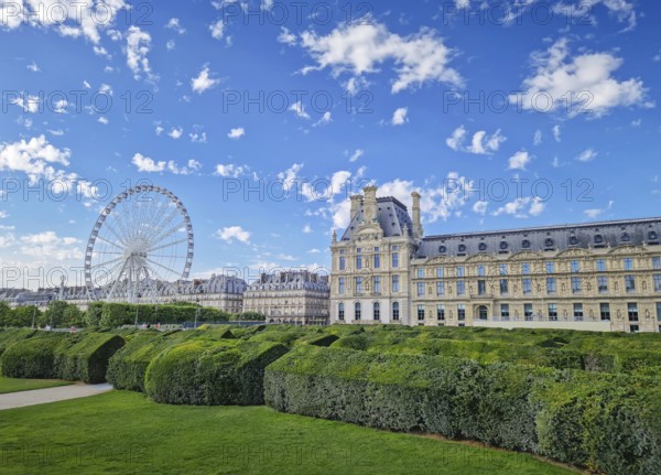 The Tuileries Garden with view to the Grande Roue in Paris, France. The famous Ferris wheel is visible on the left of the historic Louvre Palace