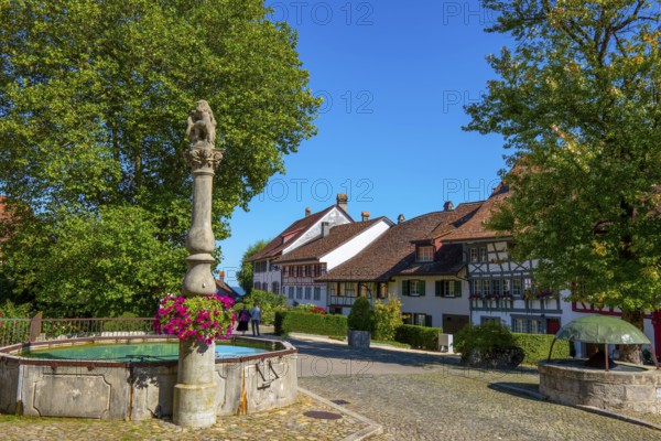Medieval Old City Square with House and Water Fountain in a Sunny Summer Day with Blue Sky in Regensberg, Zurich Canton, Switzerland