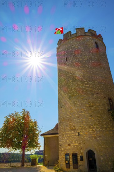 Medieval Old City Square with Castle Tower and a Tree with Sunbeam and Lens Flare in a Sunny Summer Day with Blue Sky in Regensberg, Zurich Canton, Switzerland