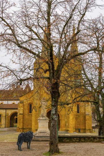 Beautiful Cathedral Collégiale de Neuchatel and Bare Tree with Sky in City of Neuchatel, Canton Neuchatel, Switzerland