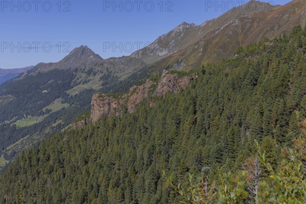 Landscape panorama, Mountain forest, Mountain pines, Autumnal, Uttendorf Pinzgau