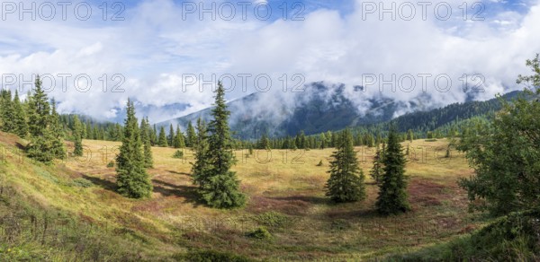 Colourful landscape with fog in autumn, Schladminger Tauern, Schladming, Styria, Austria