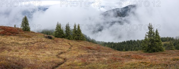 Colourful landscape with fog in autumn, Schladminger Tauern, Schladming, Styria, Austria