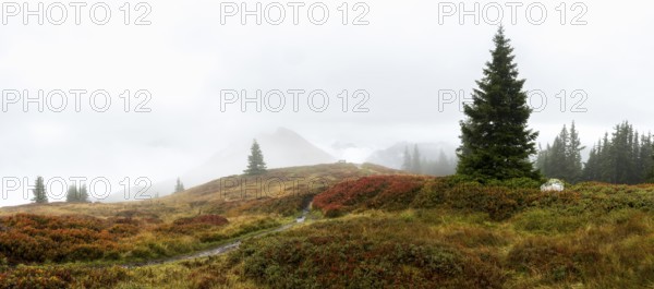 Colourful landscape with fog in autumn, Schladminger Tauern, Schladming, Styria, Austria
