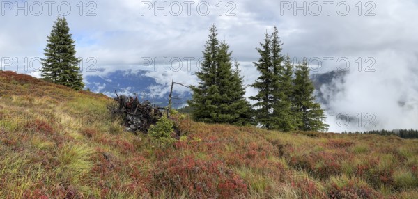 Colourful landscape with fog in autumn, Schladminger Tauern, Schladming, Styria, Austria