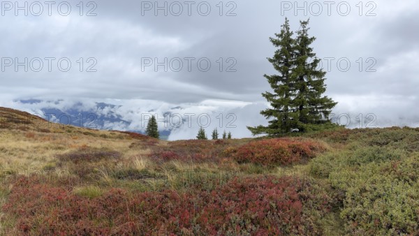 Colourful landscape with fog in autumn, Schladminger Tauern, Schladming, Styria, Austria
