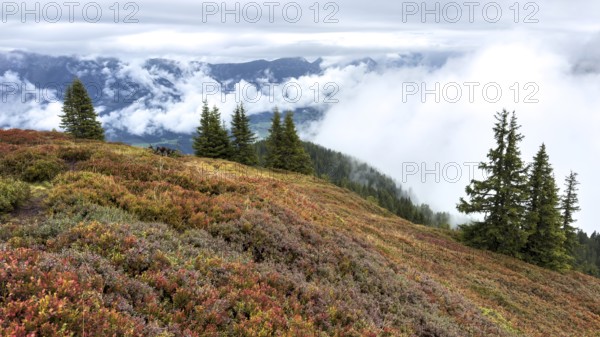 Colourful landscape with fog in autumn, Schladminger Tauern, Schladming, Styria, Austria