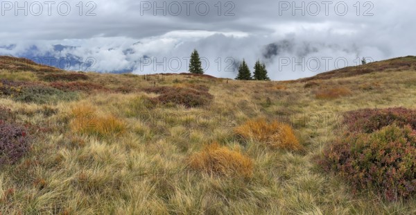 Colourful landscape with fog in autumn, Schladminger Tauern, Schladming, Styria, Austria