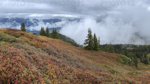 Colourful landscape with fog in autumn, Schladminger Tauern, Schladming, Styria, Austria