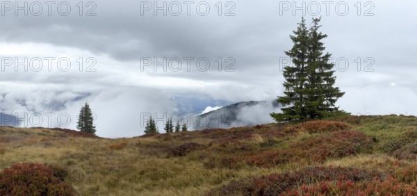 Colourful landscape with fog in autumn, Schladminger Tauern, Schladming, Styria, Austria