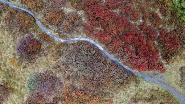 Hiking trail through colourful landscape in autumn, aerial view, Schladminger Tauern, Schladming, Styria, Austria