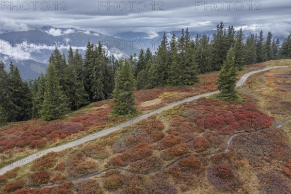Hiking trail through colourful landscape in autumn, aerial view, Schladminger Tauern, Schladming, Styria, Austria