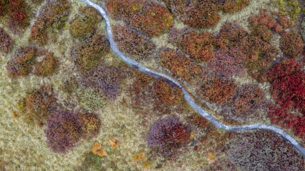 Hiking trail through colourful landscape in autumn, aerial view, Schladminger Tauern, Schladming, Styria, Austria