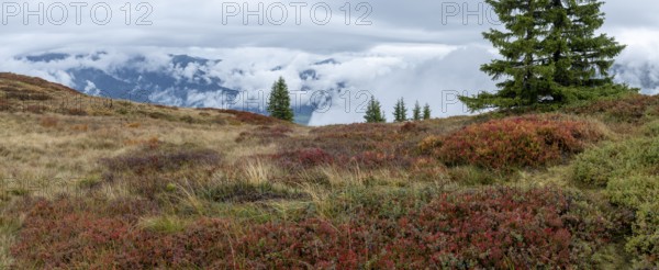 Colourful landscape with fog in autumn, Schladminger Tauern, Schladming, Styria, Austria