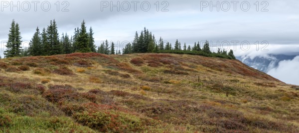 Colourful landscape with fog in autumn, Schladminger Tauern, Schladming, Styria, Austria