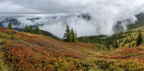 Colourful landscape with fog in autumn, Schladminger Tauern, Schladming, Styria, Austria