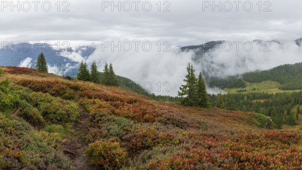 Colourful landscape with fog in autumn, Schladminger Tauern, Schladming, Styria, Austria