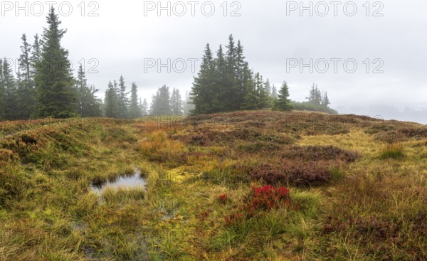 Colourful landscape with fog in autumn, Schladminger Tauern, Schladming, Styria, Austria