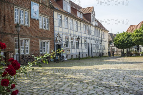 Half-timbered houses with red roses in a cobbled courtyard. Peaceful and historic scenery, Verden an der Aller, Lower Saxony, Germany