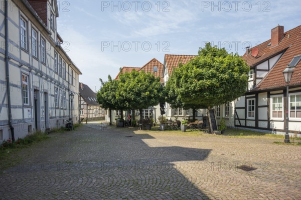 Cobbled courtyard with traditional half-timbered houses and trees on a sunny day, Verden an der Aller, Lower Saxony, Germany