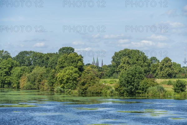 A river with green foliage, church towers in the background and blue sky, Weser cycle path, Weser, Werdersee, Neustadt, Bremen, Bremen, Germany