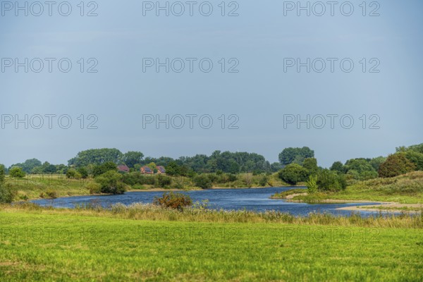 River flows through a green landscape under a blue sky, surrounded by trees and meadows, Weser cycle path, Weser, Ahsen, Thedinghausen, Lower Saxony, Germany