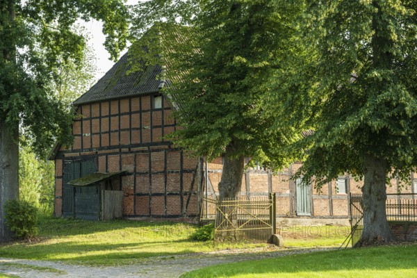 Half-timbered house surrounded by green trees and meadow on a sunny day, Bücken, district of Nienburg Weser, Lower Saxony