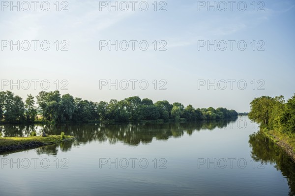 A calm river with green trees and blue sky, peaceful landscape, Weser cycle path, Nienburg Weser district, Balge, Lower Saxony, Germany