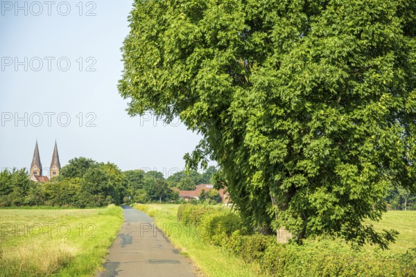 Rural scene with a path along a large tree, next to fields and a village in the background, Ev. collegiate church St. Materniani and St. Nicolai, Bücken, district of Nienburg Weser, Lower Saxony