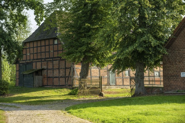 Half-timbered house in a rural setting with trees and green lawn in the sunlight, Bücken, Nienburg Weser district, Lower Saxony