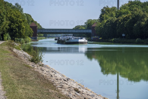 Cargo ship under a bridge, flanked by trees. Tranquil river landscape with greenery, Dortmund-Ems Canal near Lüdinghausen, Münsterland, North Rhine-Westphalia