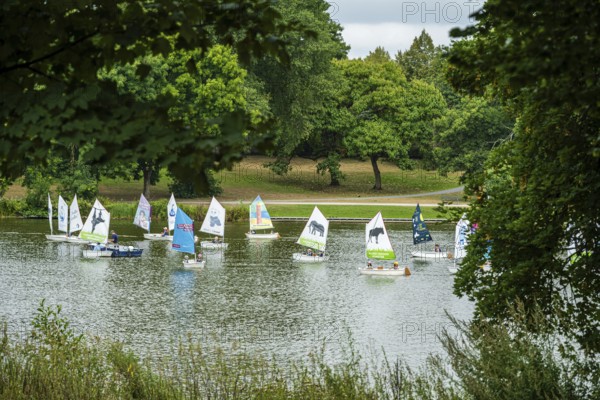 Sailing boats sailing on a quiet lake surrounded by green trees and nature, Aasee, Münster, North Rhine-Westphalia
