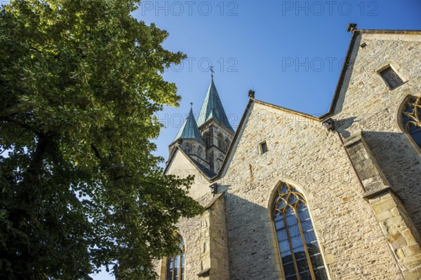 Gothic church with high towers and brick façade under a blue sky next to a large tree, St Laurentius Church in Warendorf, Münsterland, North Rhine-Westphalia
