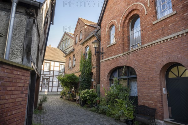 Narrow alley with red brick houses and lush plants on a sunny day, Warendorf, Münsterland, North Rhine-Westphalia