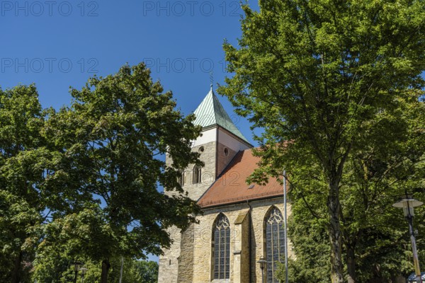 Gothic church with tower, surrounded by lush trees under a clear blue sky, Alverskirchen, Elverswinkel, Münsterland, North Rhine-Westphalia