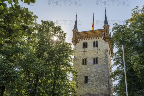 Historic tower with straight trees below, sunshine shining through, tower of the old St Mary's Church, Warendorf, Münsterland, North Rhine-Westphalia