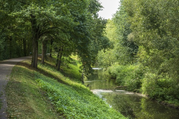 Quiet forest path along a river with densely overgrown trees in summer, Senden, Münsterland, North Rhine-Westphalia, Germany