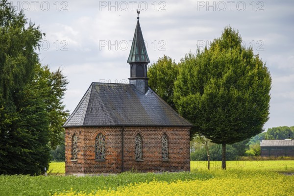 Brick chapel with green roof in the middle of a yellow field surrounded by trees, Senden, Münsterland, North Rhine-Westphalia, Germany