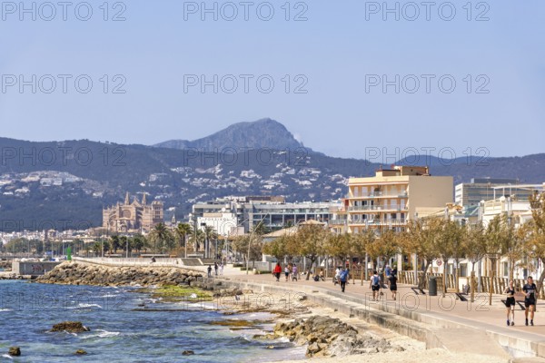 People walking on the promenade at the Mediterranean Sea with a cityscape view at Palma city a sunny summer day, Palma de Mallorca, Mallorca, Spain