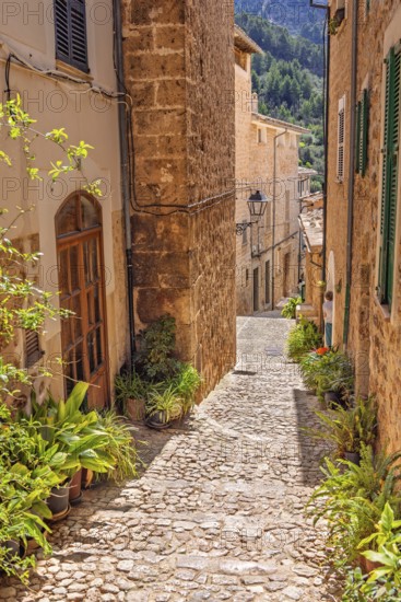 Idyllic old cobblestone alley with green plants at the house wall in a residential area a sunny summer day, Fornaluxt, Mallorca, Spain