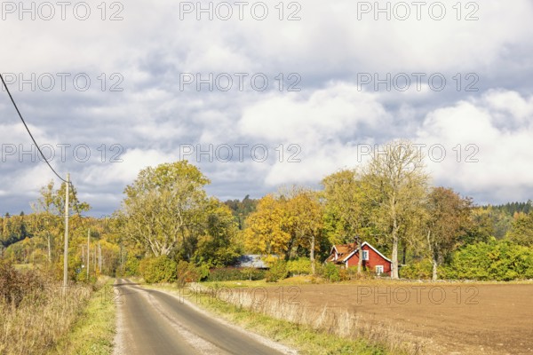 Gravel road to a farmhouse in a grove of trees in the countryside with beautiful autumn colors on the trees, Sweden