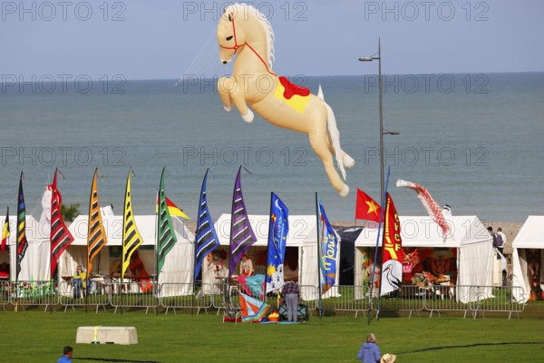 Kite festival on the beach, International Kite Festival, Dieppe, Normandy, France
