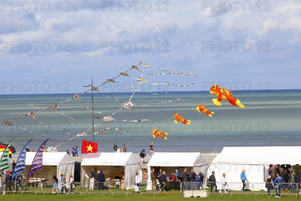 Kite festival on the beach, International Kite Festival, Dieppe, Normandy, France