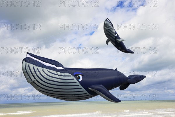 Kite festival, international kite festival, kites in the shape of whales, Dieppe, Normandy, France
